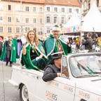 Faschingumzug166.jpg