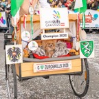 Faschingumzug212.jpg