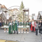 Grazer-Faschingsgilde-Rathaussturm-2023-web-0183.jpg